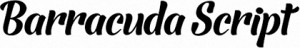 Barracuda Script font